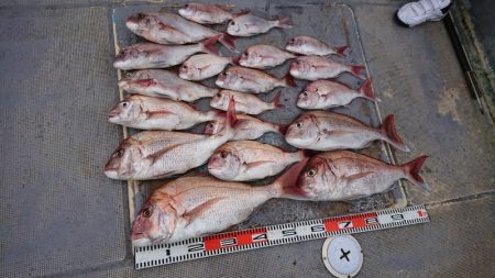 FISHING RISKY 釣果