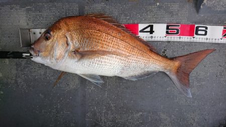 FISHING RISKY 釣果