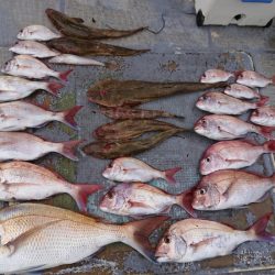 FISHING RISKY 釣果