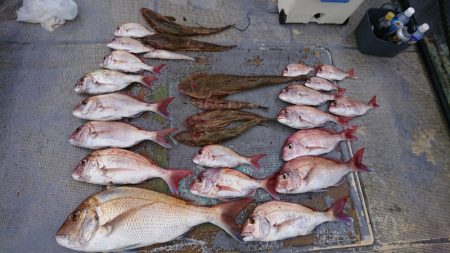 FISHING RISKY 釣果