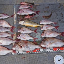 FISHING RISKY 釣果