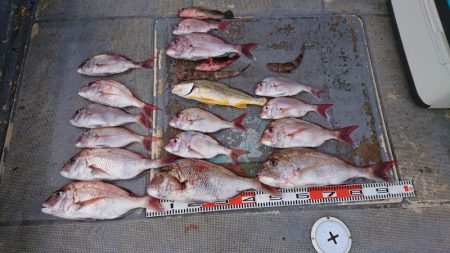 FISHING RISKY 釣果