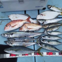 清和丸 釣果