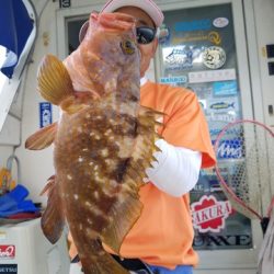 遊漁船 ニライカナイ 釣果