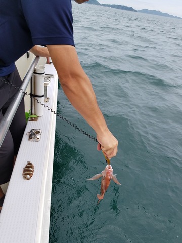 遊漁船　ニライカナイ 釣果