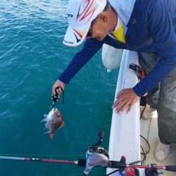 遊漁船 ニライカナイ 釣果