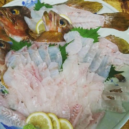 リトルワン 釣果