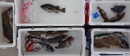 気仙沼　つり丸 釣果