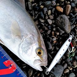 トリプルフックに確実にフッキング！【シャウト（Shout!）レイズ　インプレッション】