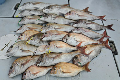 松本釣船2 釣果