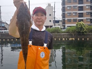 濱生丸 釣果