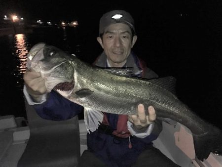 ルアー船マヒマヒ 釣果