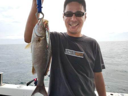 ブルーピア 釣果