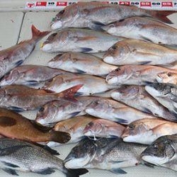 松本釣船２ 釣果