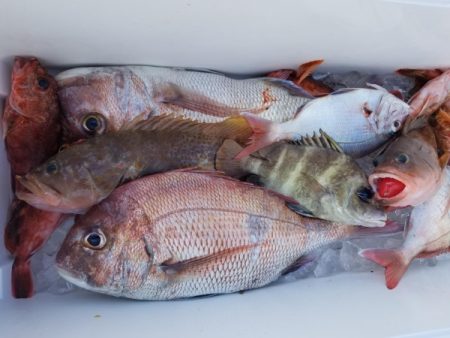 オーフリー 釣果