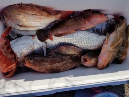 オーフリー 釣果