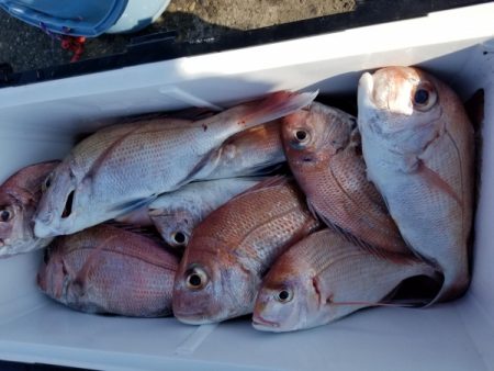 オーフリー 釣果