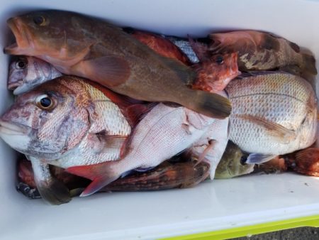 オーフリー 釣果