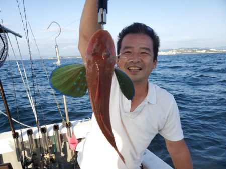 ブルーピア 釣果