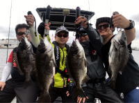 オーシャンマスター 釣果