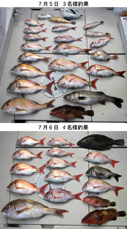来温丸（らいおんまる） 釣果
