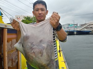 濱生丸 釣果