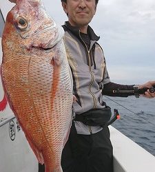 海龍丸（福岡） 釣果