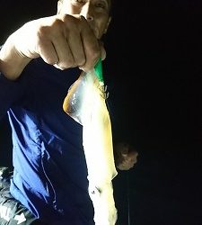 海龍丸（福岡） 釣果