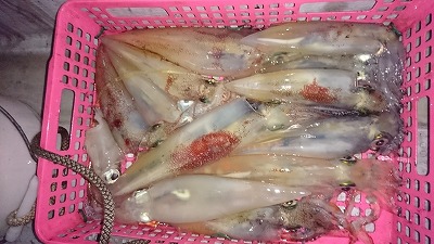 海龍丸（福岡） 釣果
