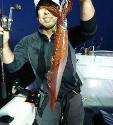 海龍丸（福岡） 釣果