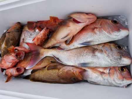 オーフリー 釣果