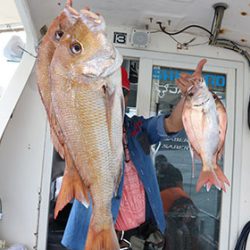 松本釣船２ 釣果