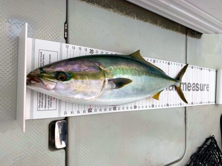 オーシャンマスター 釣果