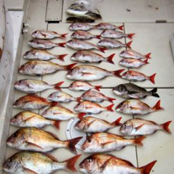 来温丸(らいおんまる) 釣果