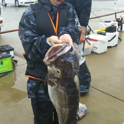 モンロー号 釣果