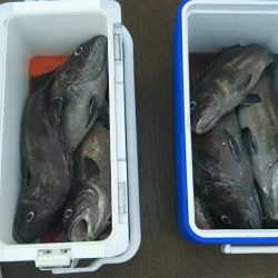 モンロー号 釣果