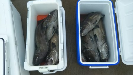 モンロー号 釣果