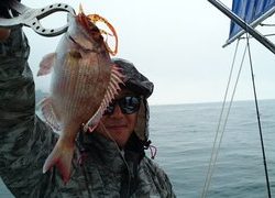 愛裕南丸 釣果