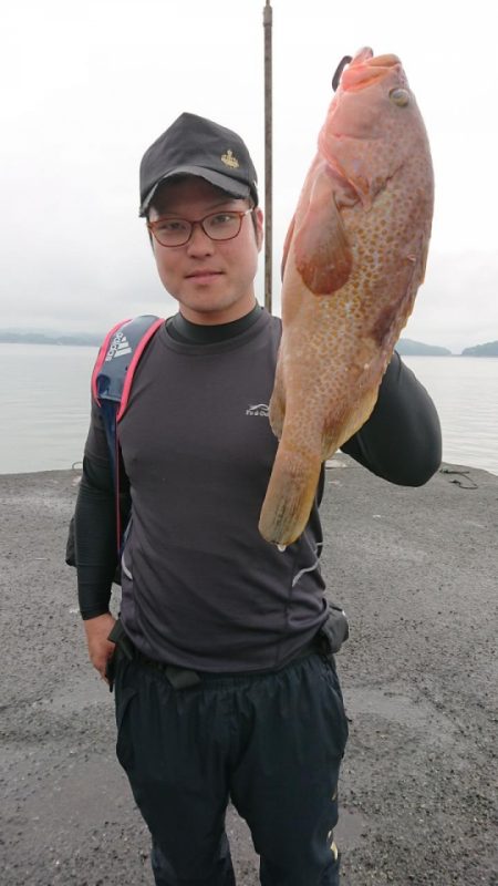 オーフリー 釣果