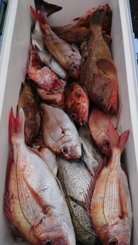 オーフリー 釣果