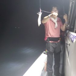 ブルーピア 釣果