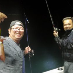 ブルーピア 釣果