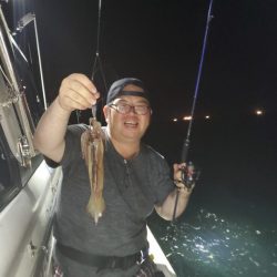 ブルーピア 釣果