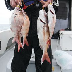 松本釣船２ 釣果