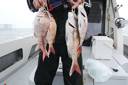 松本釣船２ 釣果
