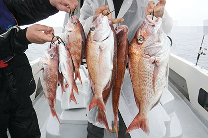 松本釣船２ 釣果