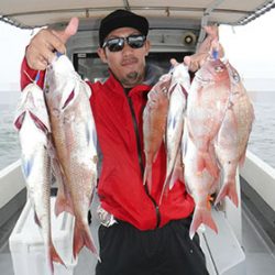 松本釣船２ 釣果