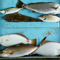 明神釣船 釣果