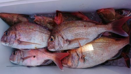 オーフリー 釣果