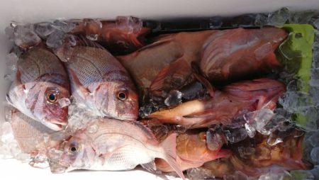 オーフリー 釣果